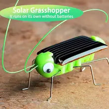 Solar Grasshopper Toy Puzzle — Fun Science Educational Moving Insect Toy for Kids