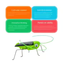 Solar Grasshopper Toy Puzzle — Fun Science Educational Moving Insect Toy for Kids